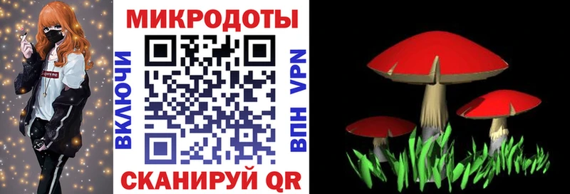 Галлюциногенные грибы прущие грибы  Купить закладки  Алапаевск 